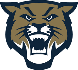 Hayden Catholic High School banner logo