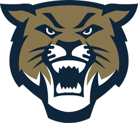 Hayden Catholic High School banner logo