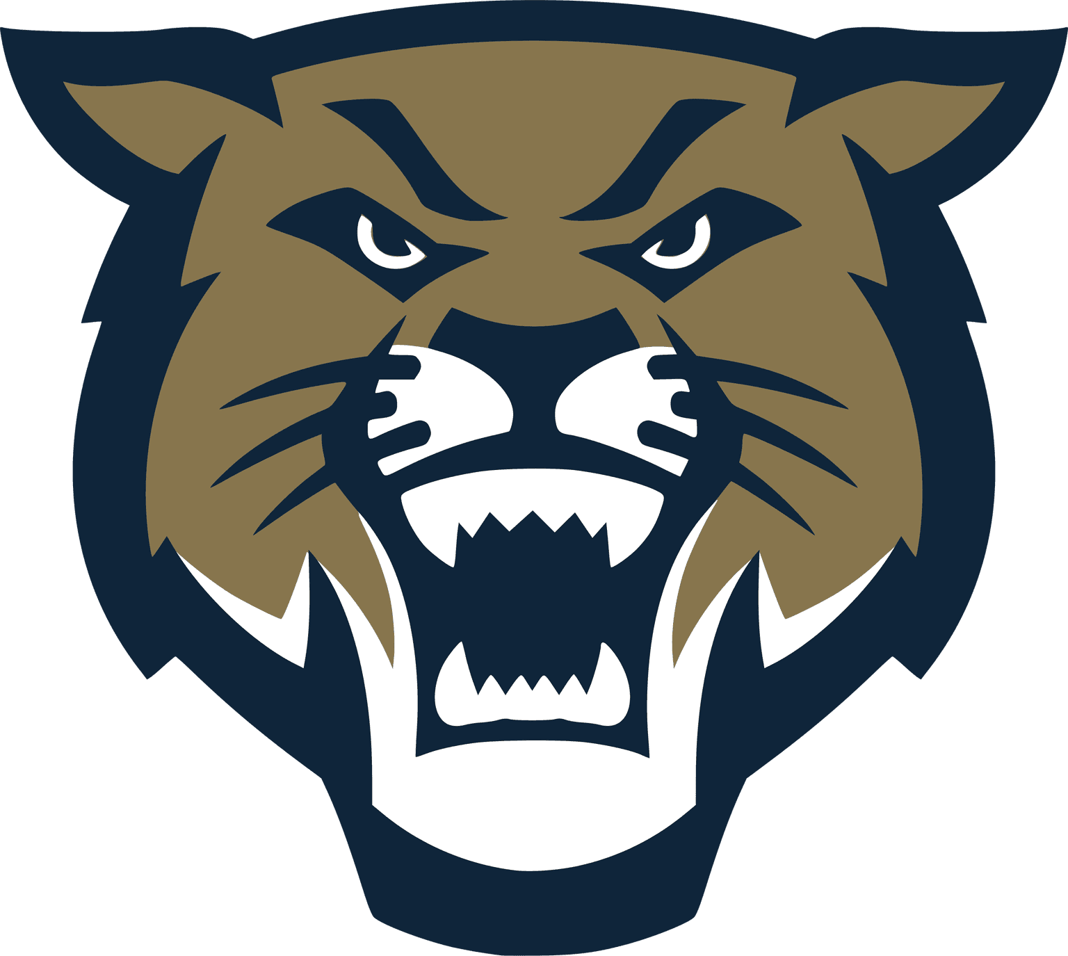 Hayden Catholic High School