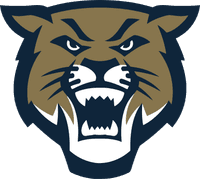 Hayden Catholic High School banner logo